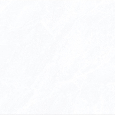 21.B.360.6225